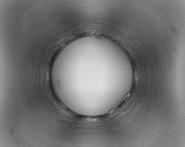 X0000110900570200907021540