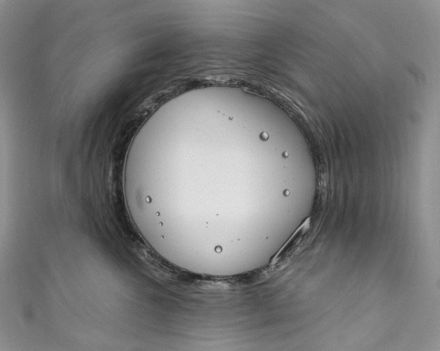 X0000110900572200907021540