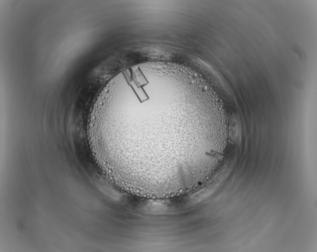X0000110900573200907021540