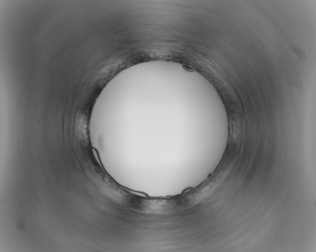 X0000110900575200907021540