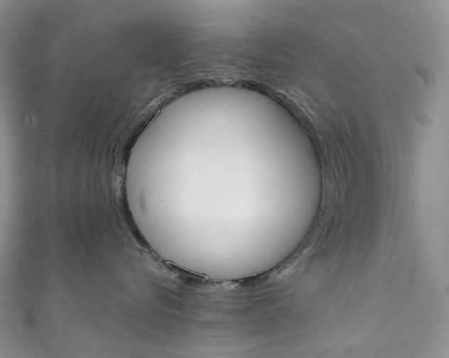 X0000110900576200907021540