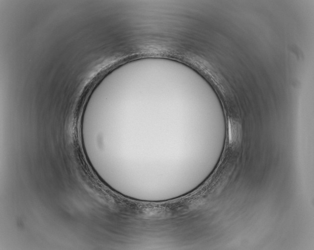 X0000110900579200907021539