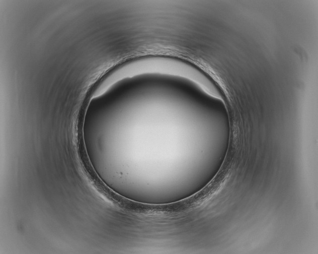 X0000110900581200907021539