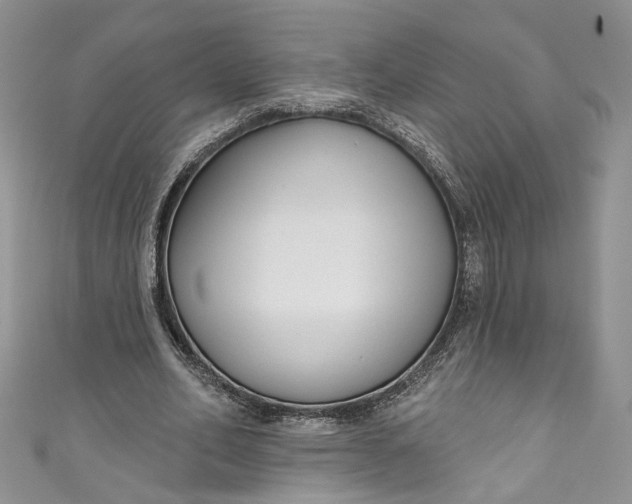 X0000110900582200907021539