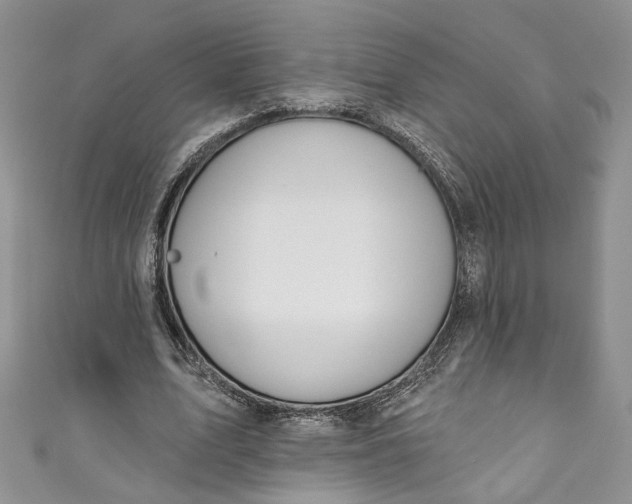 X0000110900583200907021539