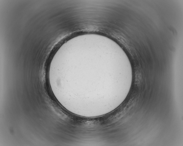 X0000110900584200907021539