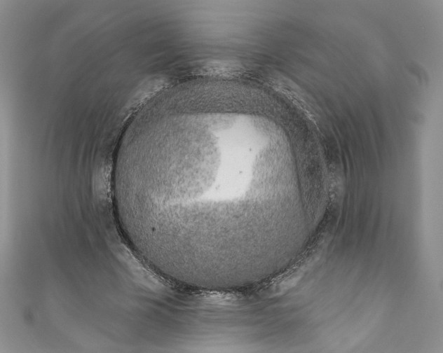 X0000110900585200907021539