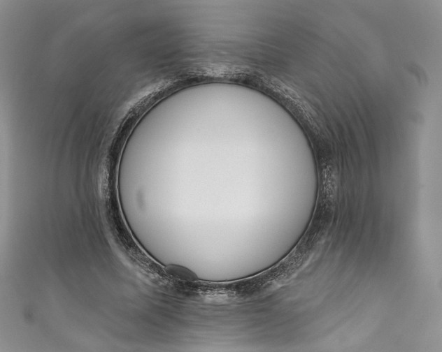 X0000110900587200907021539