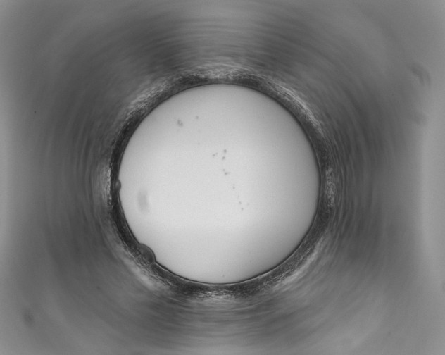 X0000110900589200907021539