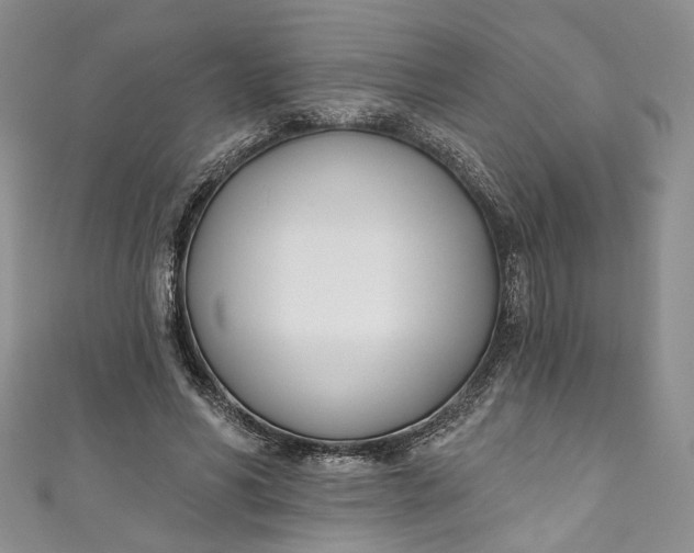 X0000110900590200907021539