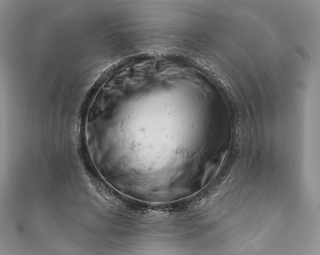 X0000110900592200907021539