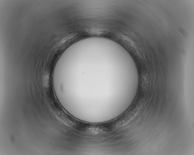 X0000110900596200907021539