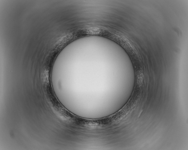 X0000110900598200907021539