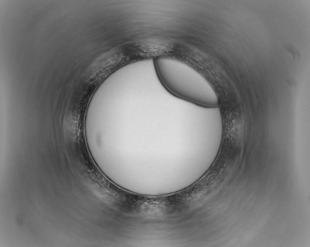 X0000110900599200907021539