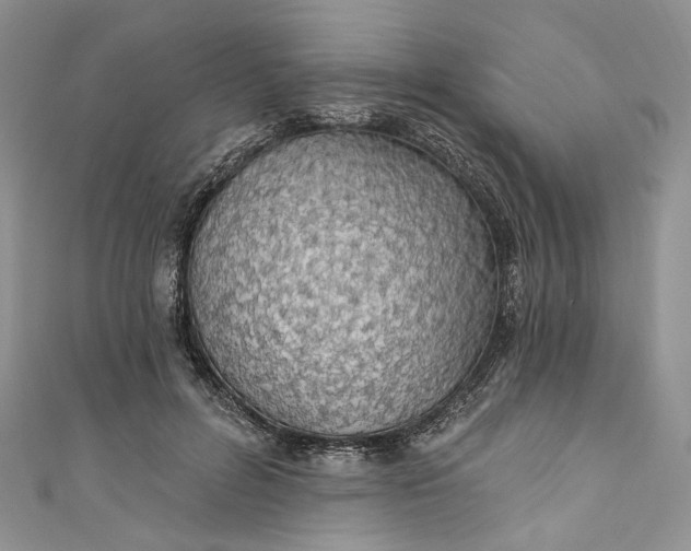 X0000110900600200907021539