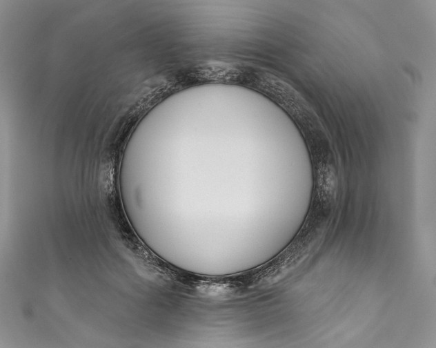 X0000110900602200907021539
