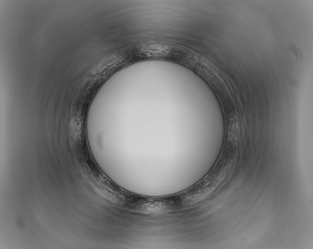 X0000110900604200907021539