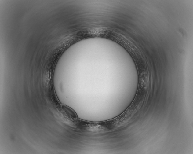 X0000110900605200907021539