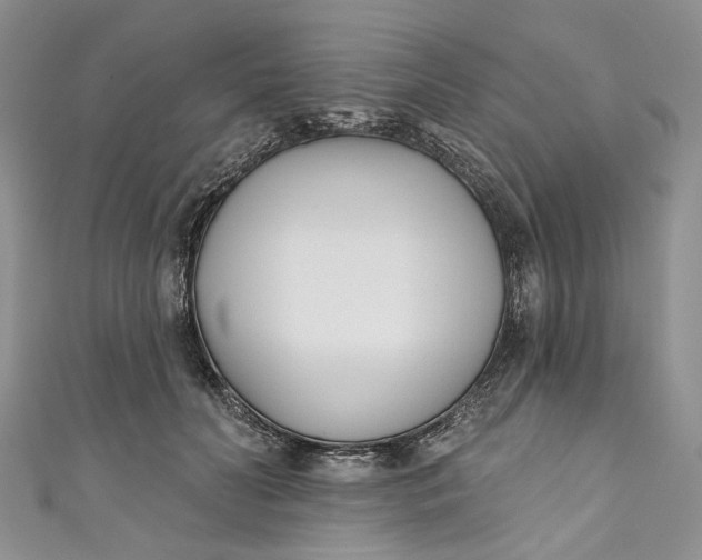 X0000110900606200907021539