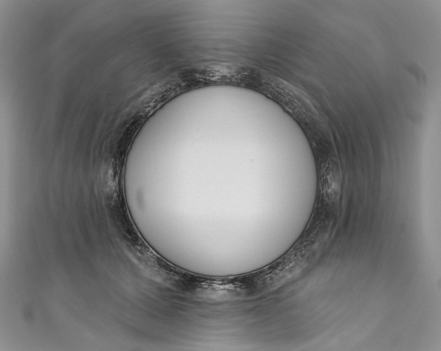 X0000110900607200907021539