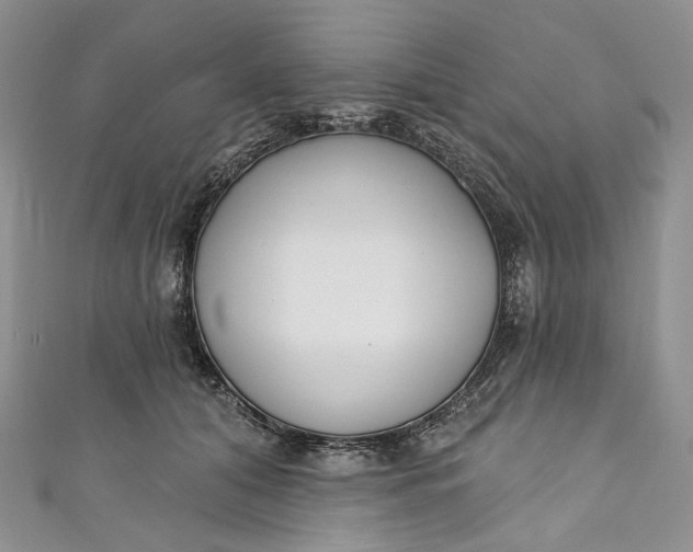 X0000110900608200907021539