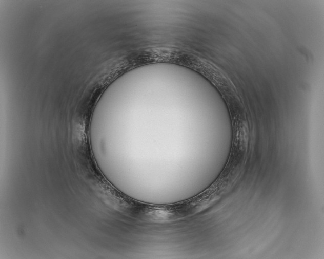 X0000110900610200907021539