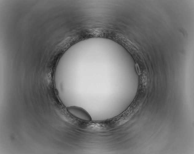 X0000110900611200907021539