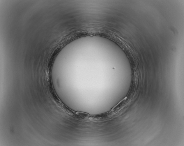 X0000110900613200907021539