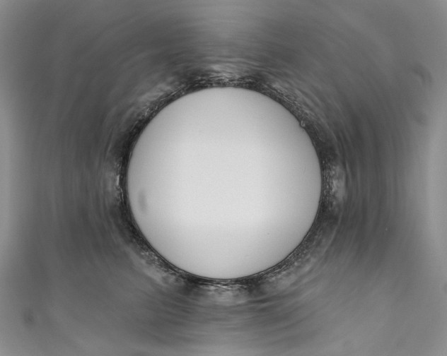 X0000110900615200907021539