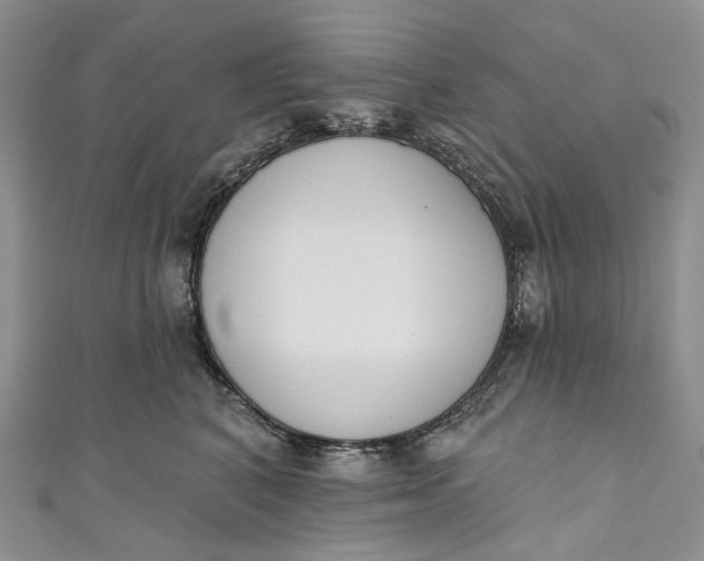 X0000110900616200907021539