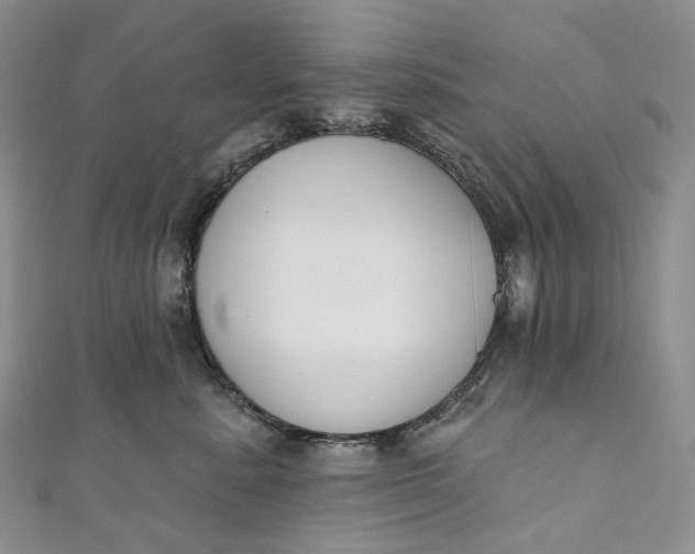 X0000110900619200907021539