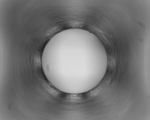 X0000110900622200907021539