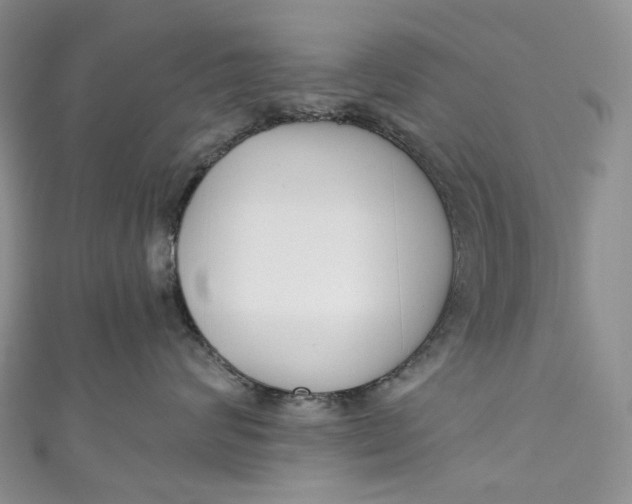 X0000110900624200907021539