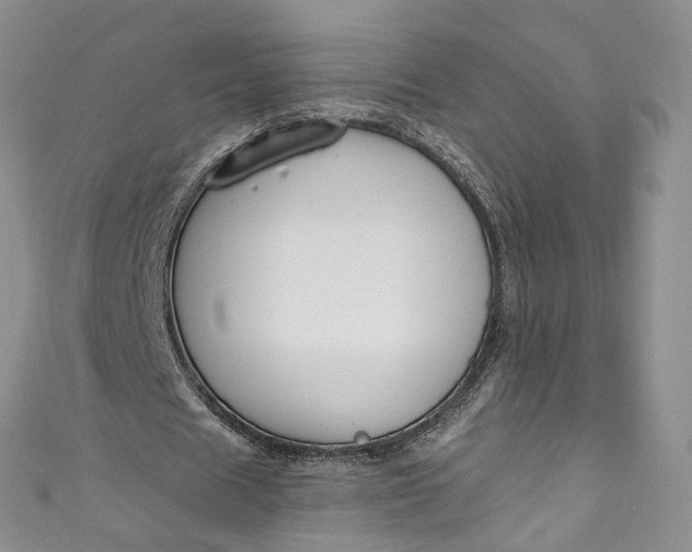 X0000110900625200907021538