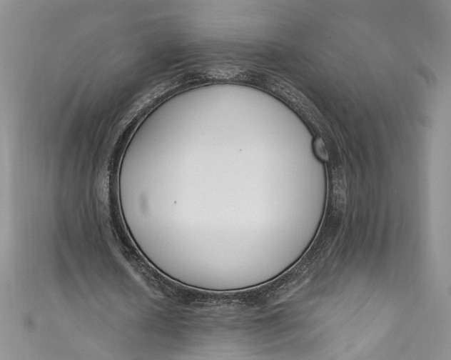X0000110900626200907021538