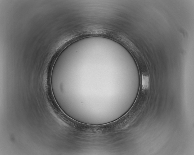 X0000110900627200907021538