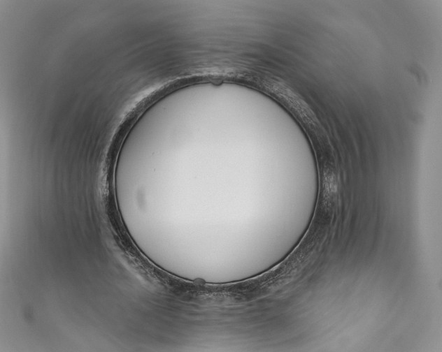 X0000110900628200907021538