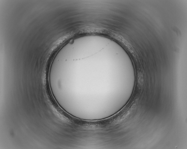X0000110900629200907021538