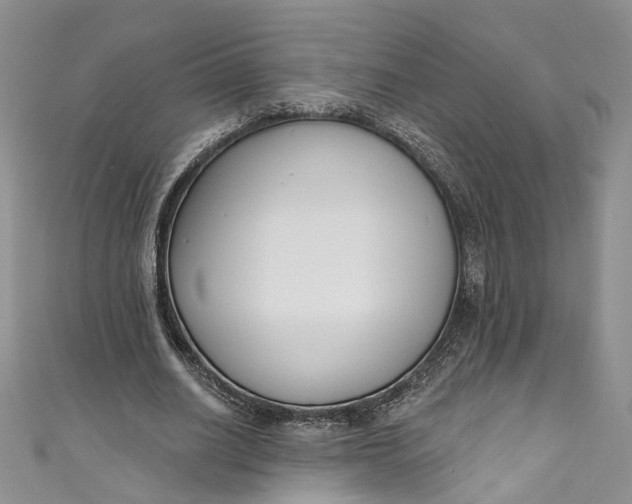 X0000110900630200907021538