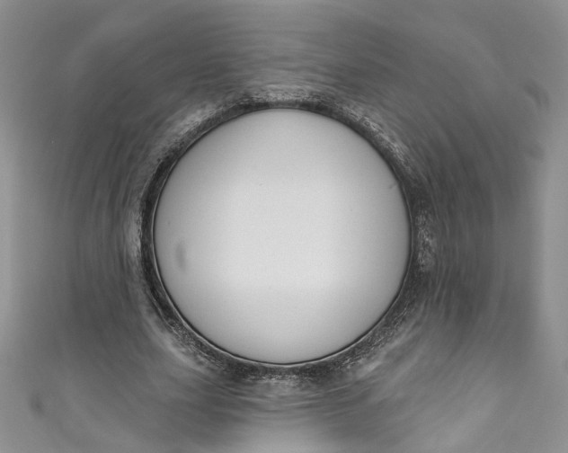 X0000110900631200907021538