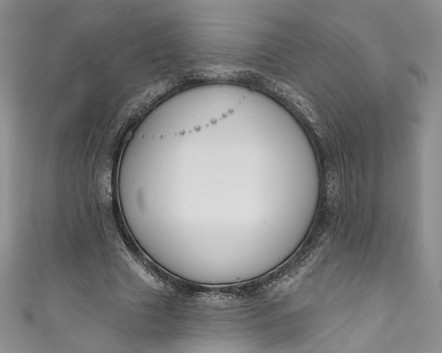X0000110900633200907021538
