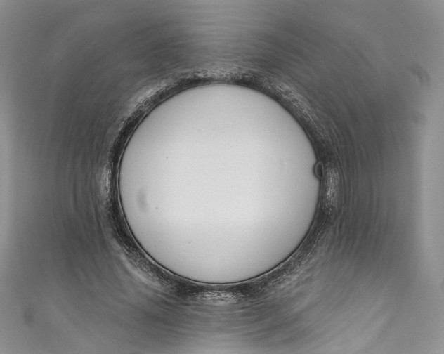 X0000110900636200907021538