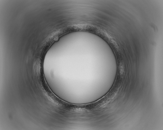 X0000110900637200907021538