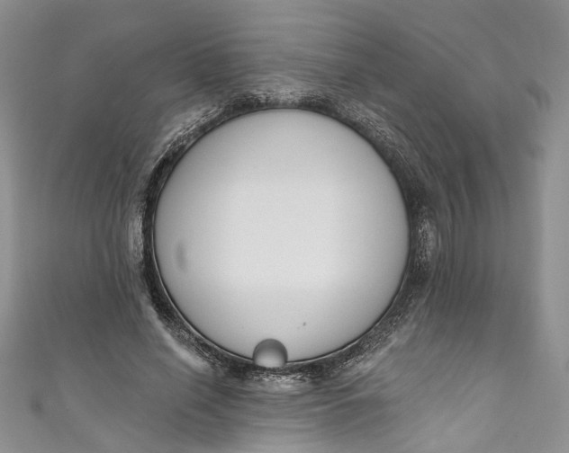 X0000110900638200907021538
