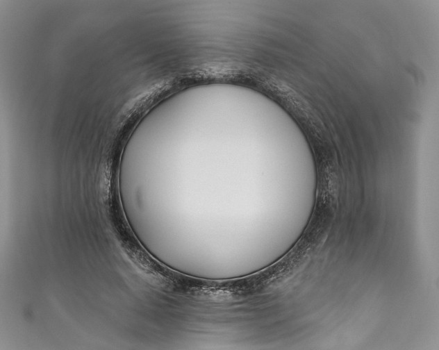 X0000110900640200907021538