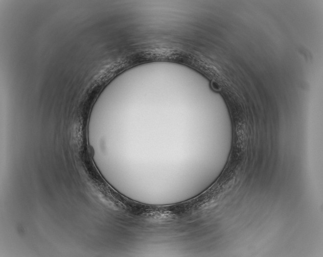 X0000110900642200907021538