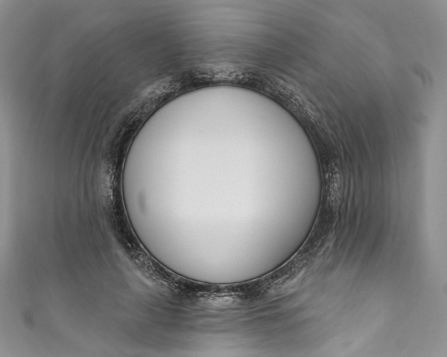 X0000110900643200907021538