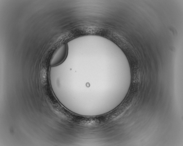 X0000110900646200907021538