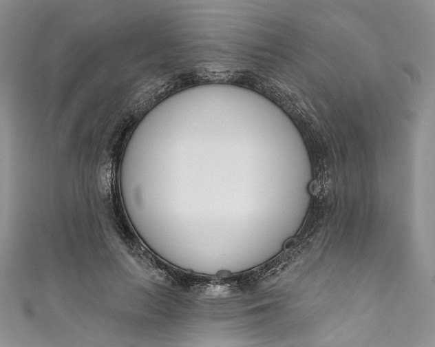X0000110900647200907021538
