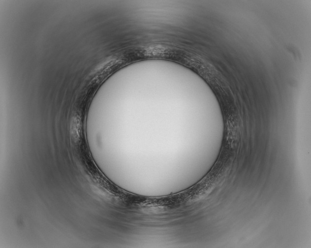 X0000110900648200907021538
